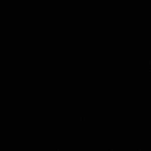 Meet your Posher, Damon